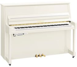 Yamaha B20 TC3 PWH