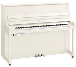 Yamaha B20 TC3 PWHC