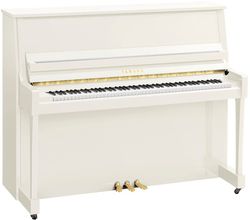 Yamaha B30 PWH