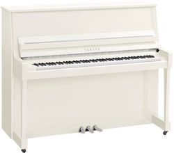 Yamaha B30 PWHC