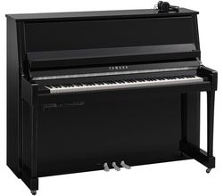 Yamaha B30 SC3 PEC