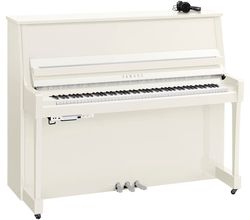 Yamaha B30 SC3 PWHC