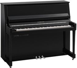 Yamaha B30 TC3 PEC