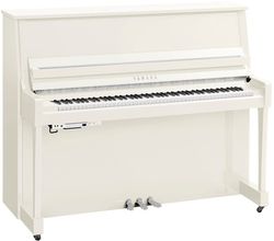 Yamaha B30 TC3 PWHC