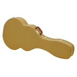 Acoustic Guitar Cases
