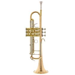 Bb Trumpets