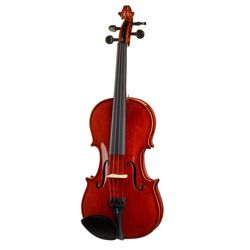 Violons Acoustiques