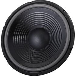 Altavoz de 12"
