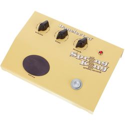 DSR-1 Spring King Danelectro