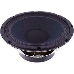 Loudspeaker 10 Inch