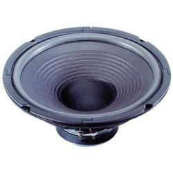 Loudspeaker 10 Inch