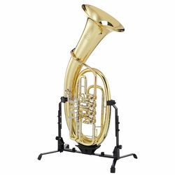 tenorhoorns