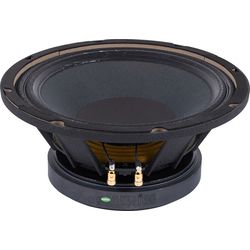 Haut-Parleurs 10"