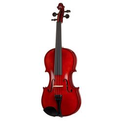 Violini e Viole