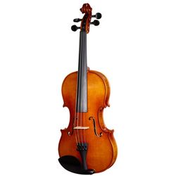 Violini e Viole
