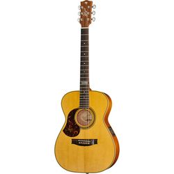 Guitares Acoustiques Gaucher