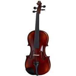 Violons Acoustiques