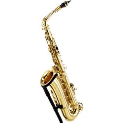 Outros saxofones