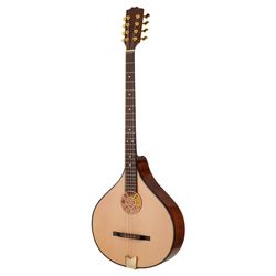 Irish Bouzouki