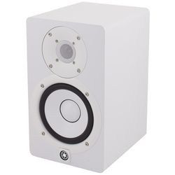 Monitor Nearfield Attivi