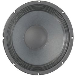 Loudspeaker 10 Inch