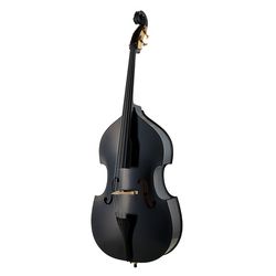 Instruments à Cordes Frottées