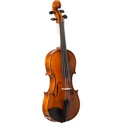 Violines y violas acústicas