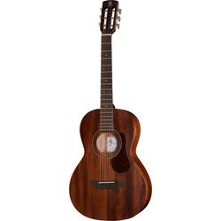 Folk guitarer
