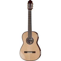 Meister/Masterclass Gitarren
