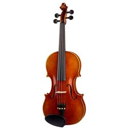 Violons Acoustiques