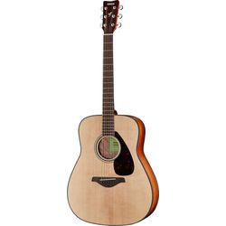 Acoustic Guitars