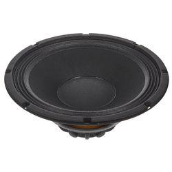 Loudspeaker 10 Inch