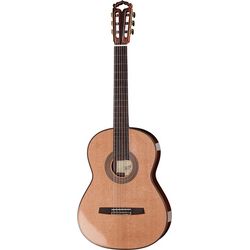 Meister/Masterclass Gitarren