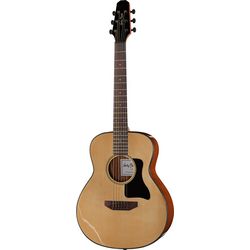 Travel Guitars 