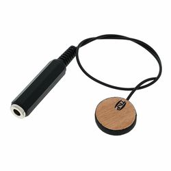 Micros pour contrebasses