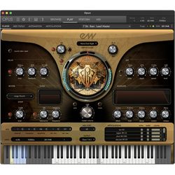 Virtuelle Instrumente und Sampler