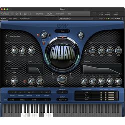 Virtuelle Instrumente und Sampler