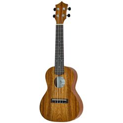 Koncert ukuleler