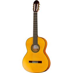 Flamencogitarren