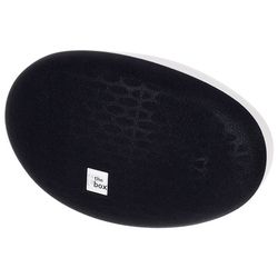Installation Loudspeakers for Walls