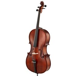 Violoncelles Acoustiques