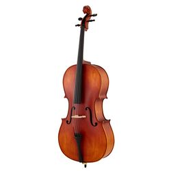 Violoncelles Acoustiques