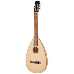 Lauten, Gitarrenlauten und Theorben