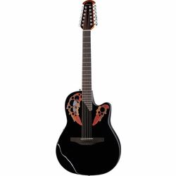 12-String Acoustic Guitars