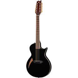 Acoustic Guitars