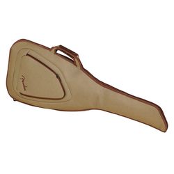 Guitar Cases and Bags