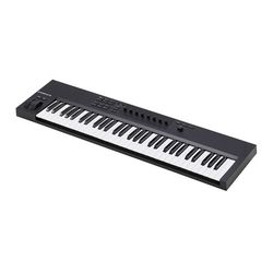 Teclados controladores MIDI (até 61 teclas)