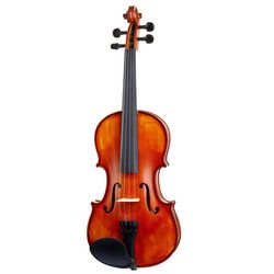 strijkinstrumenten