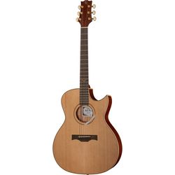 Signature Acoustic Guitars