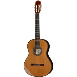 Meister/Masterclass Gitarren